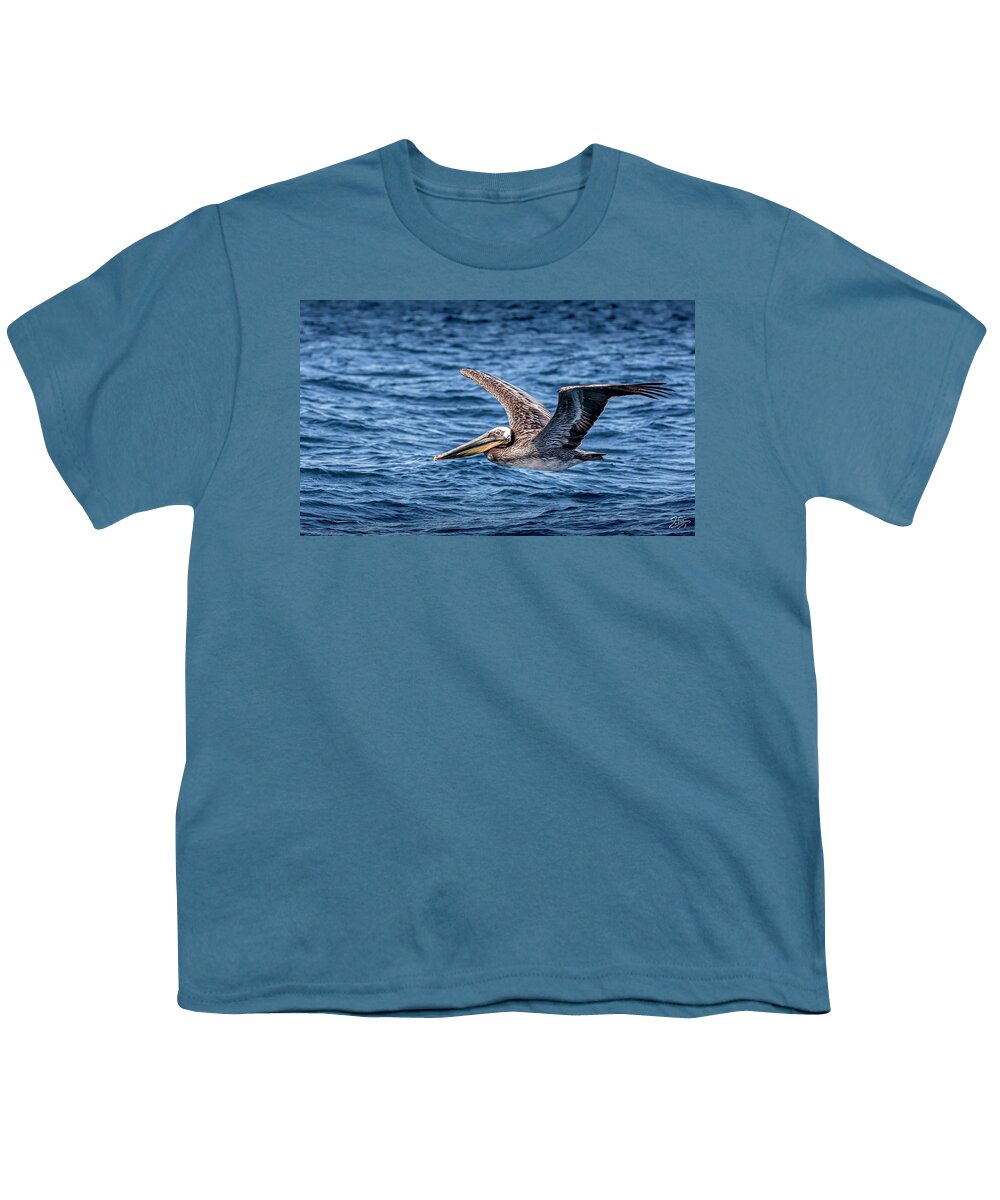 Brown Pelican Youth T-Shirt featuring the photograph Brown Pelican 5 by Endre Balogh