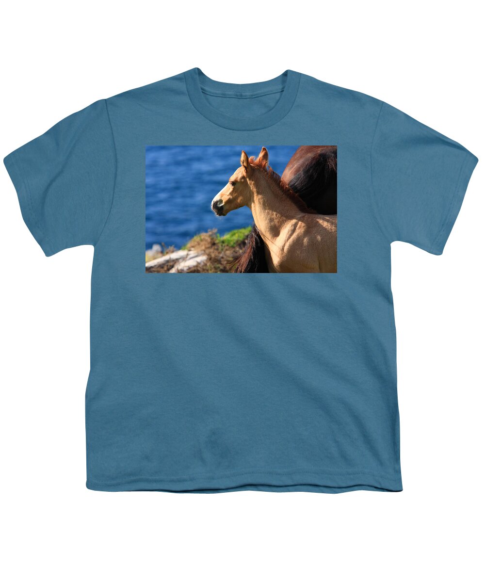 Horses Youth T-Shirt featuring the photograph Colt By The Sea by Aidan Moran