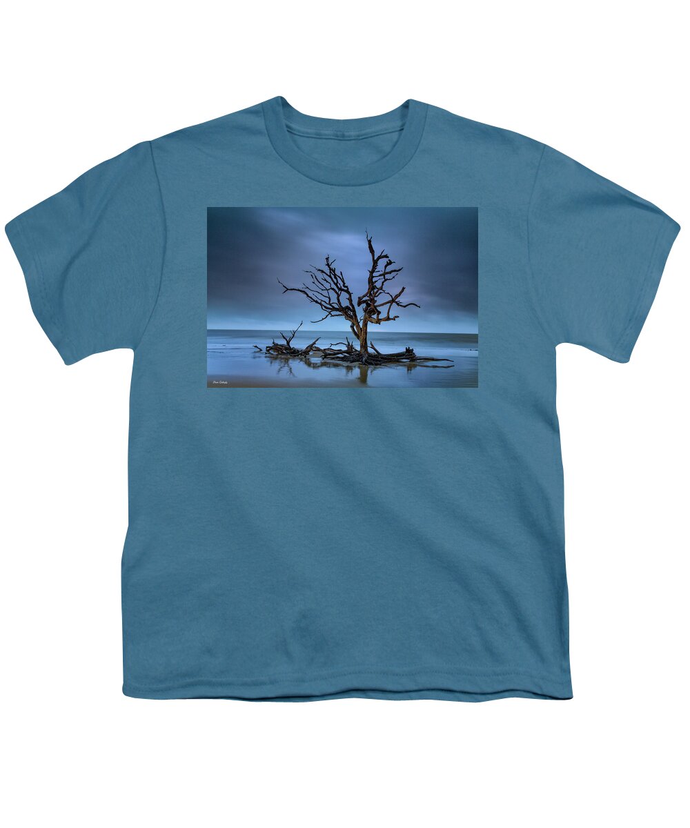 Driftwood Youth T-Shirt featuring the photograph Driftwood Tree by Fran Gallogly