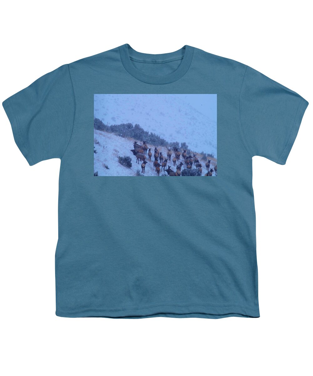 Elk Youth T-Shirt featuring the photograph Elk herd in snowfall by Jeff Swan