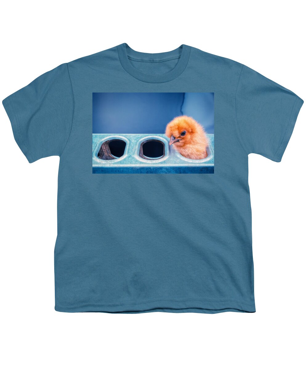 Chicks Youth T-Shirt featuring the photograph Iz In Da Feeder. by TC Morgan