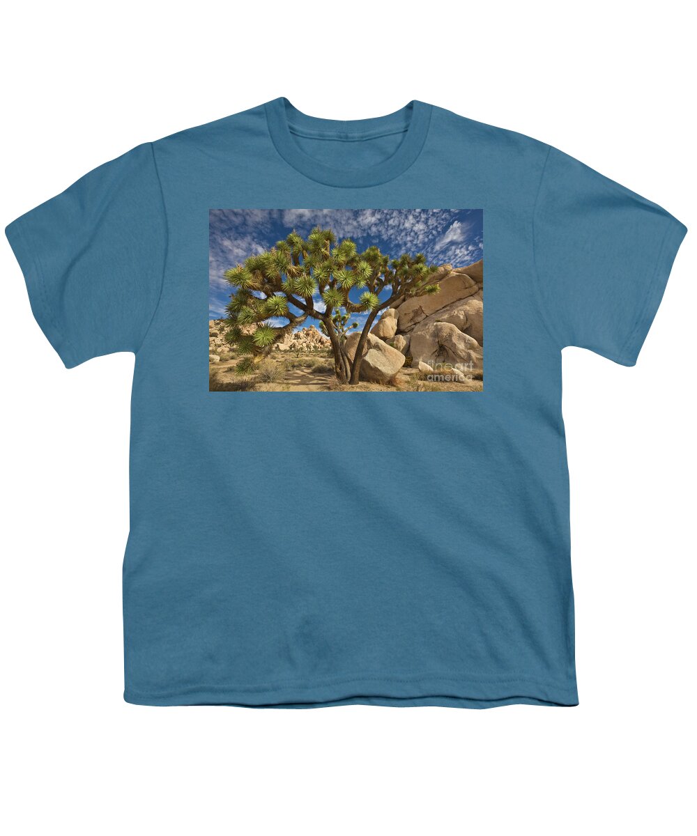 00559247 Youth T-Shirt featuring the photograph Joshua Tree and Blue Sky by Yva Momatiuk John Eastcott
