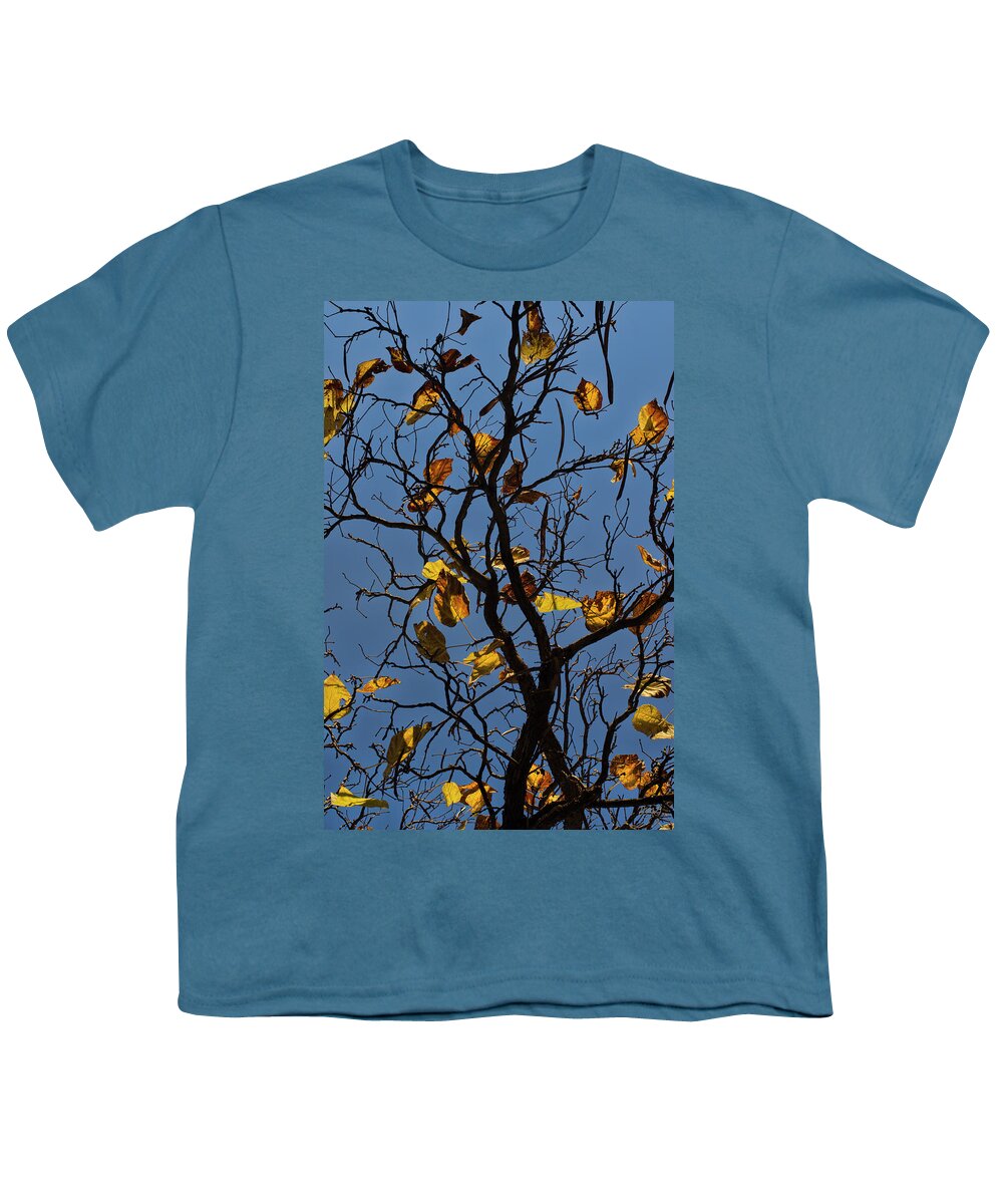Color Youth T-Shirt featuring the photograph Last Leaves of Autumn by David Gordon