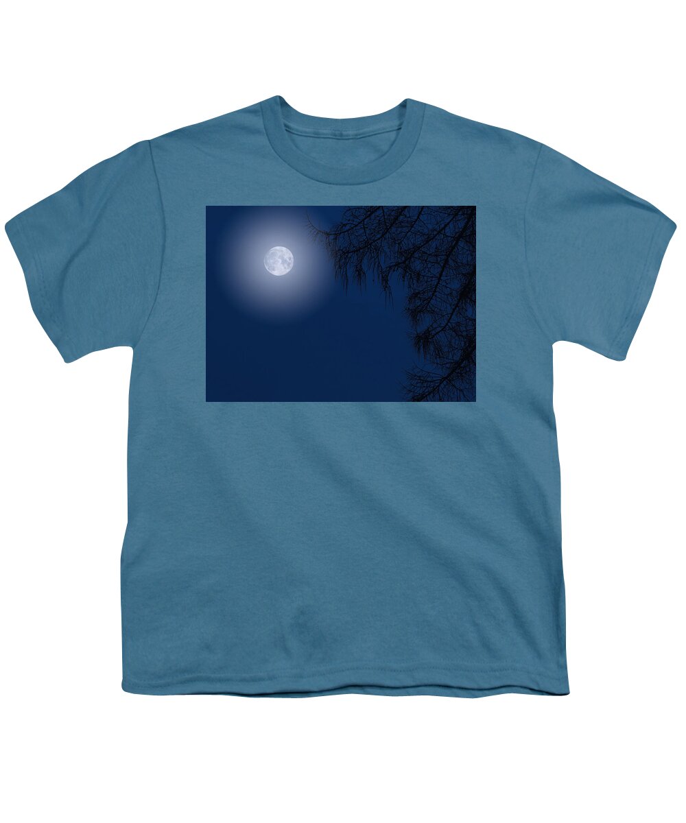 Dusk Moonlight Tree Youth T-Shirt featuring the photograph Midnight Moon and Night Tree Silhouette by John Williams