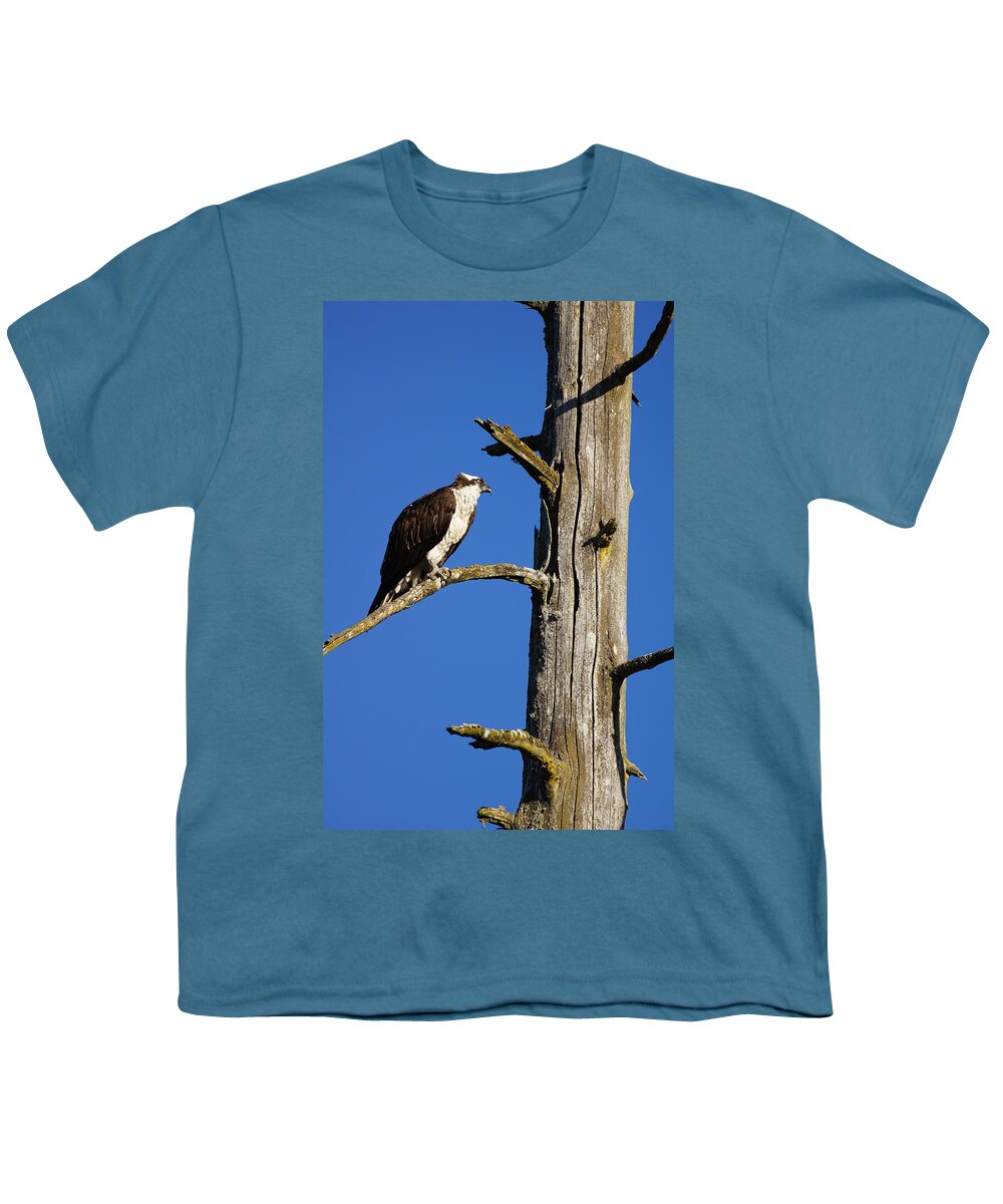 Osprey Youth T-Shirt featuring the photograph Osprey Nest Guard - 003 by Shirley Heyn