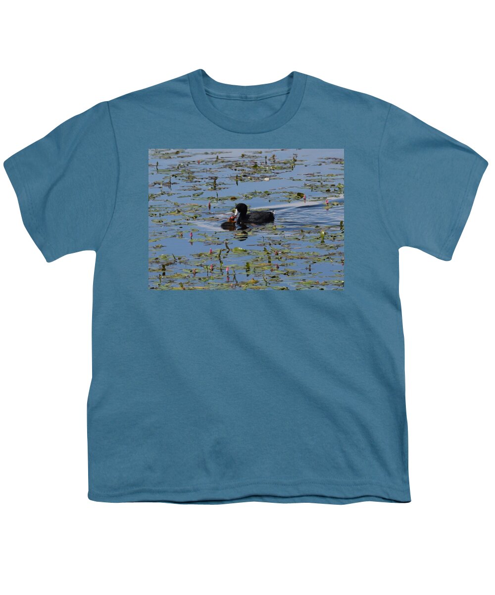 Animal Youth T-Shirt featuring the photograph Pied Billed Grebe Lake John SWA CO by Margarethe Binkley