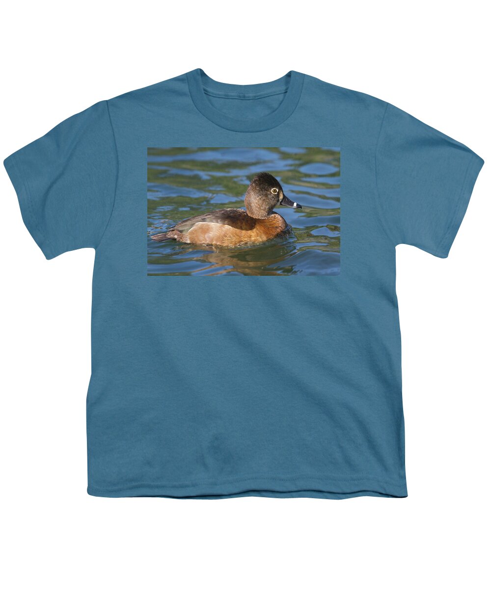 Mark Miller Photos Youth T-Shirt featuring the photograph Pretty Ring-necked Duck by Mark Miller