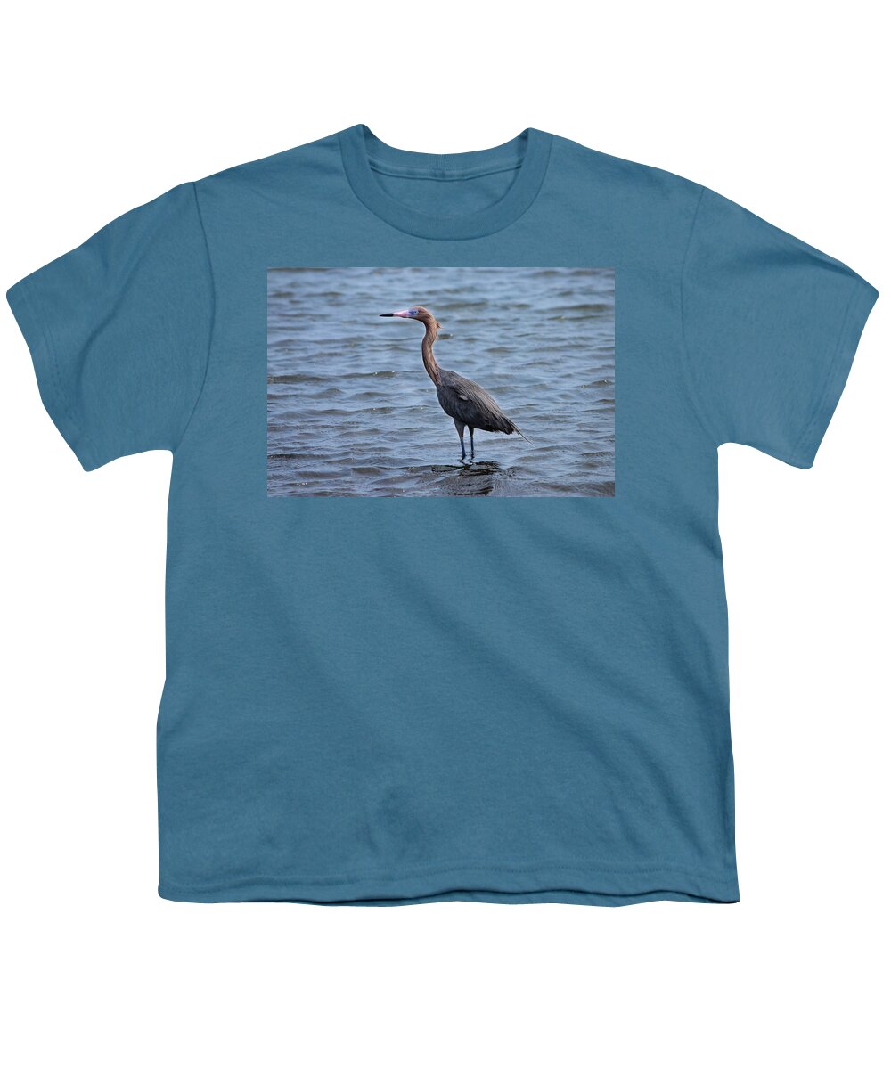 Birds Of South Texas Youth T-Shirt featuring the photograph Reddish Egret - Dark Morph by Debra Martz