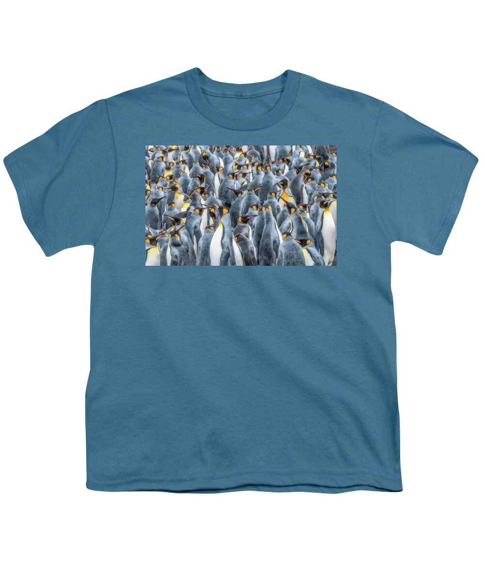 Birds Youth T-Shirt featuring the photograph Republicans discussing climate change. by Usha Peddamatham