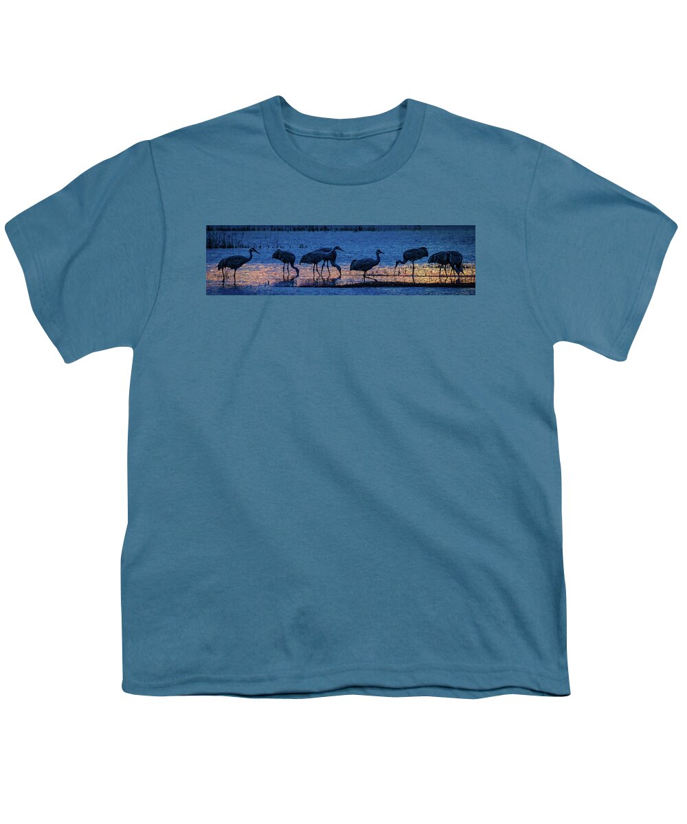 Animals Youth T-Shirt featuring the photograph Sandhill Cranes at Twilight by Bruce Bonnett