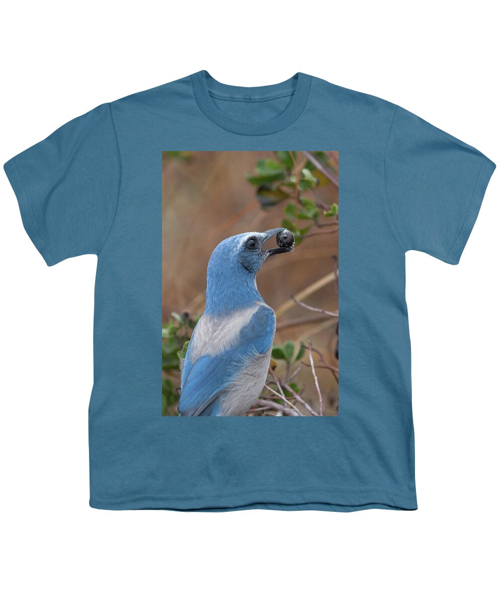 Scrub Jay Youth T-Shirt featuring the photograph Scrub Jay with Acorn by Paul Rebmann