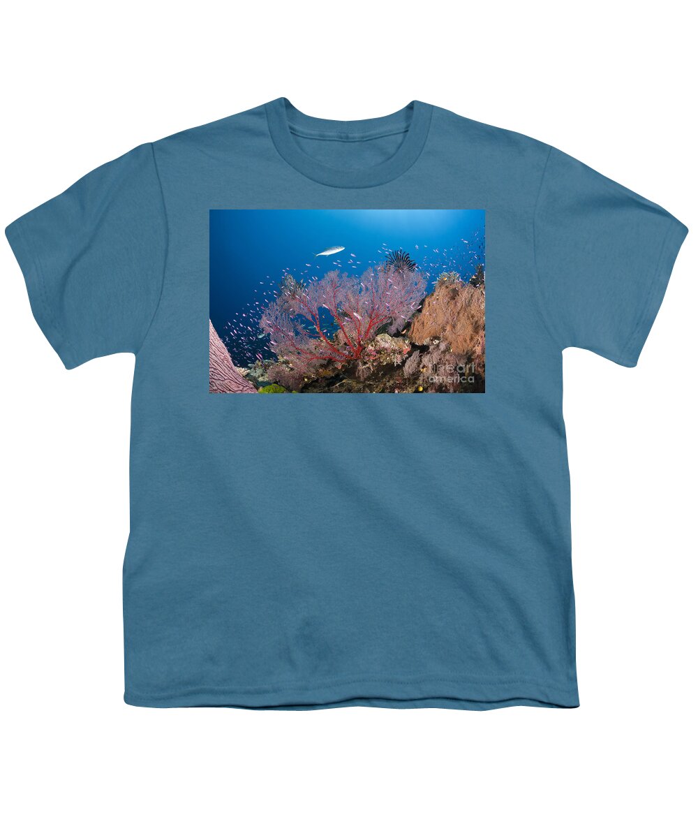 Sea Fan Youth T-Shirt featuring the photograph Sea Fan On Reef, Fiji by Reinhard Dirscherl