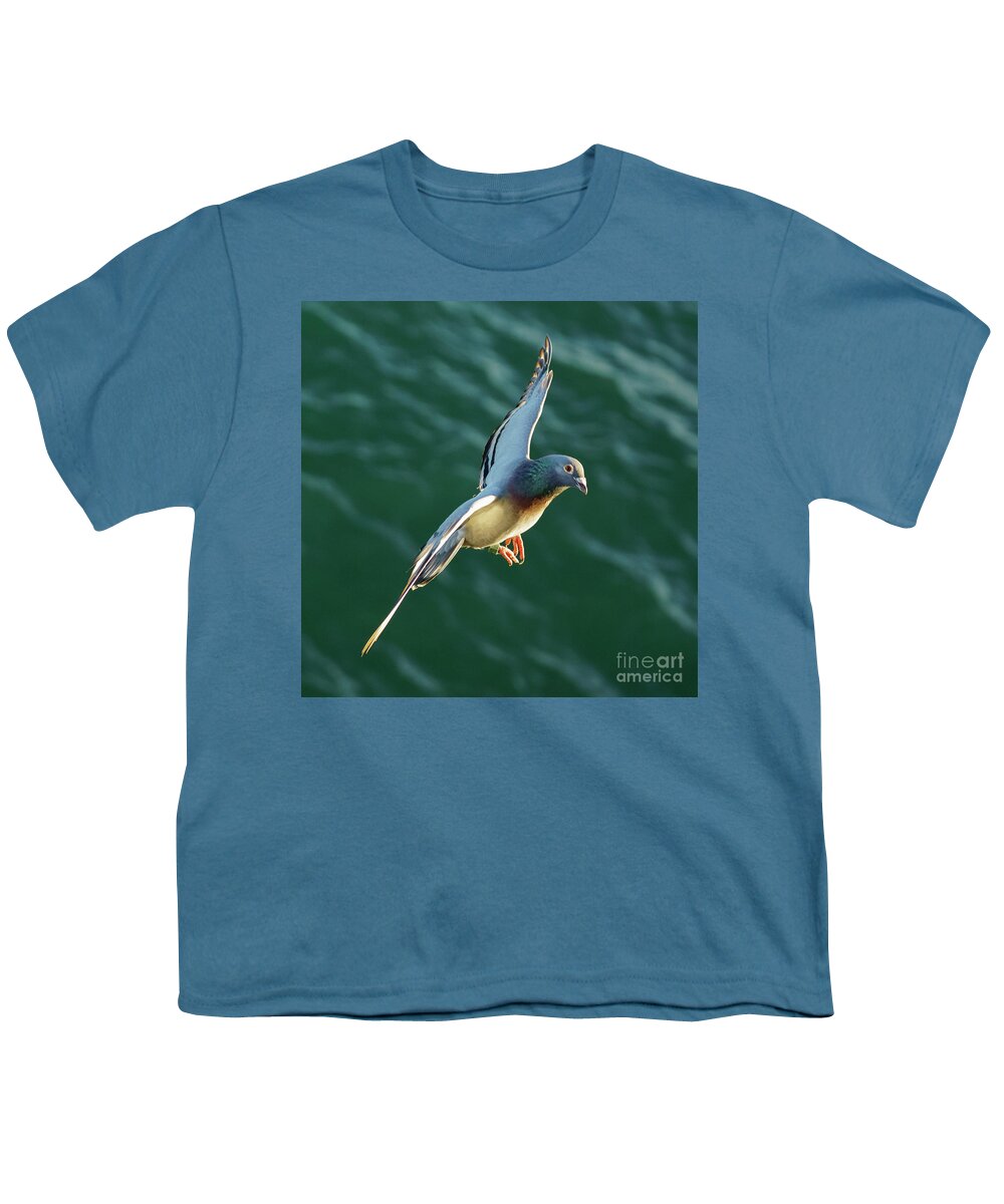 Pigeon Youth T-Shirt featuring the photograph Rock Pigeon Flying over the Sea #1 by Pablo Avanzini