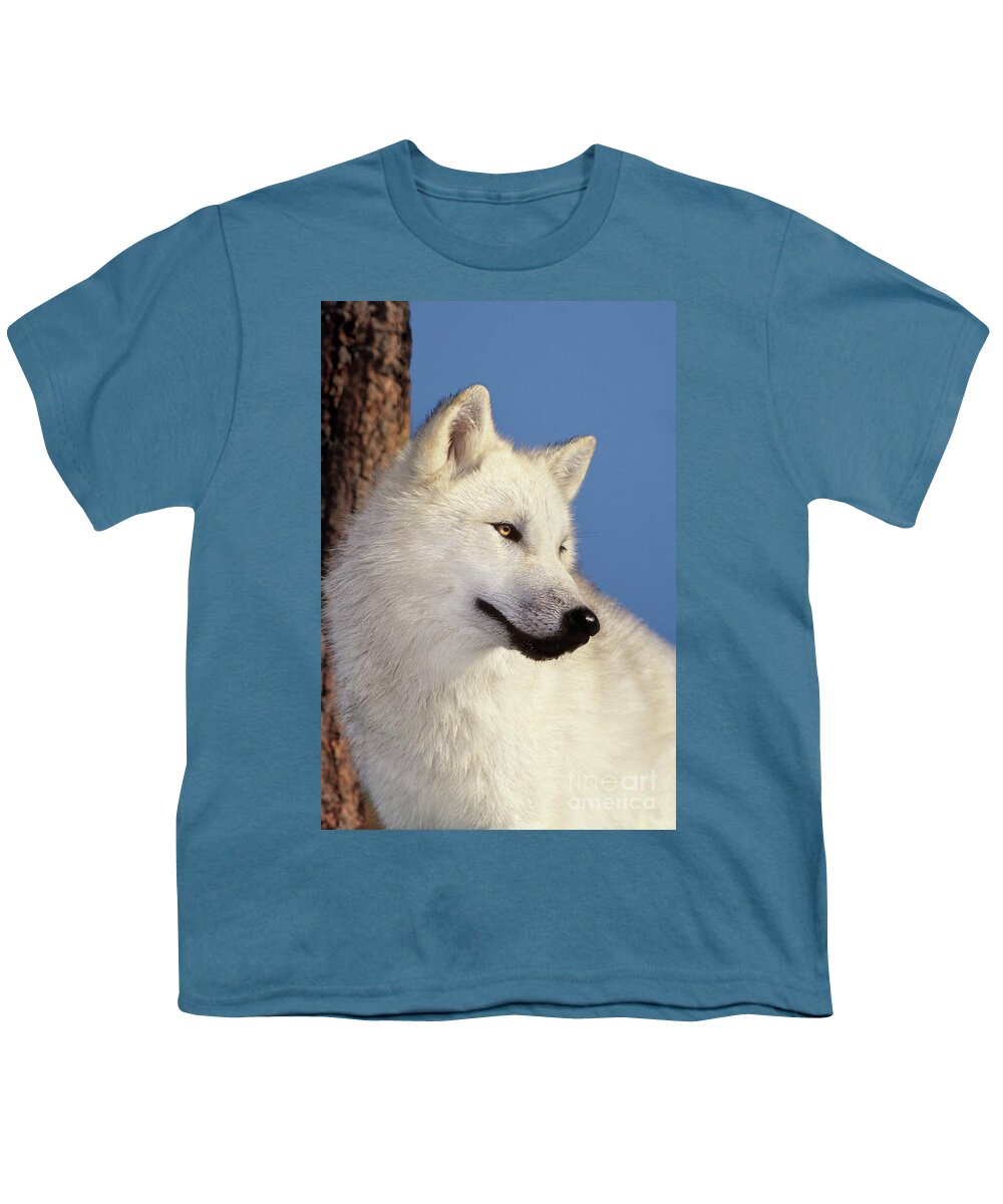Arctic Wolf Youth T-Shirt featuring the photograph Arctic Wolf Portrait wildlife rescue by Dave Welling