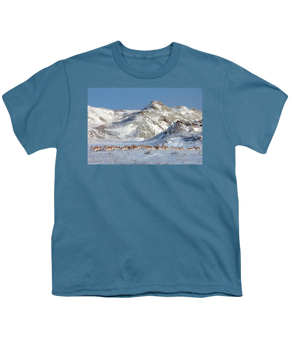Badlands Youth T-Shirt featuring the photograph Badlands Antelope by Todd Klassy