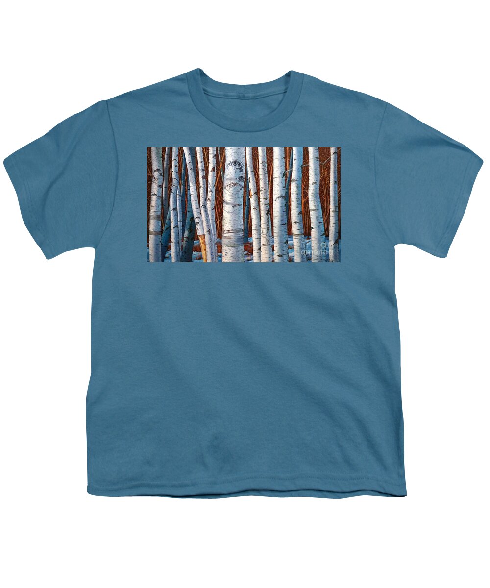 Birch Youth T-Shirt featuring the painting Birch Trees in early winter in painting by Christopher Shellhammer
