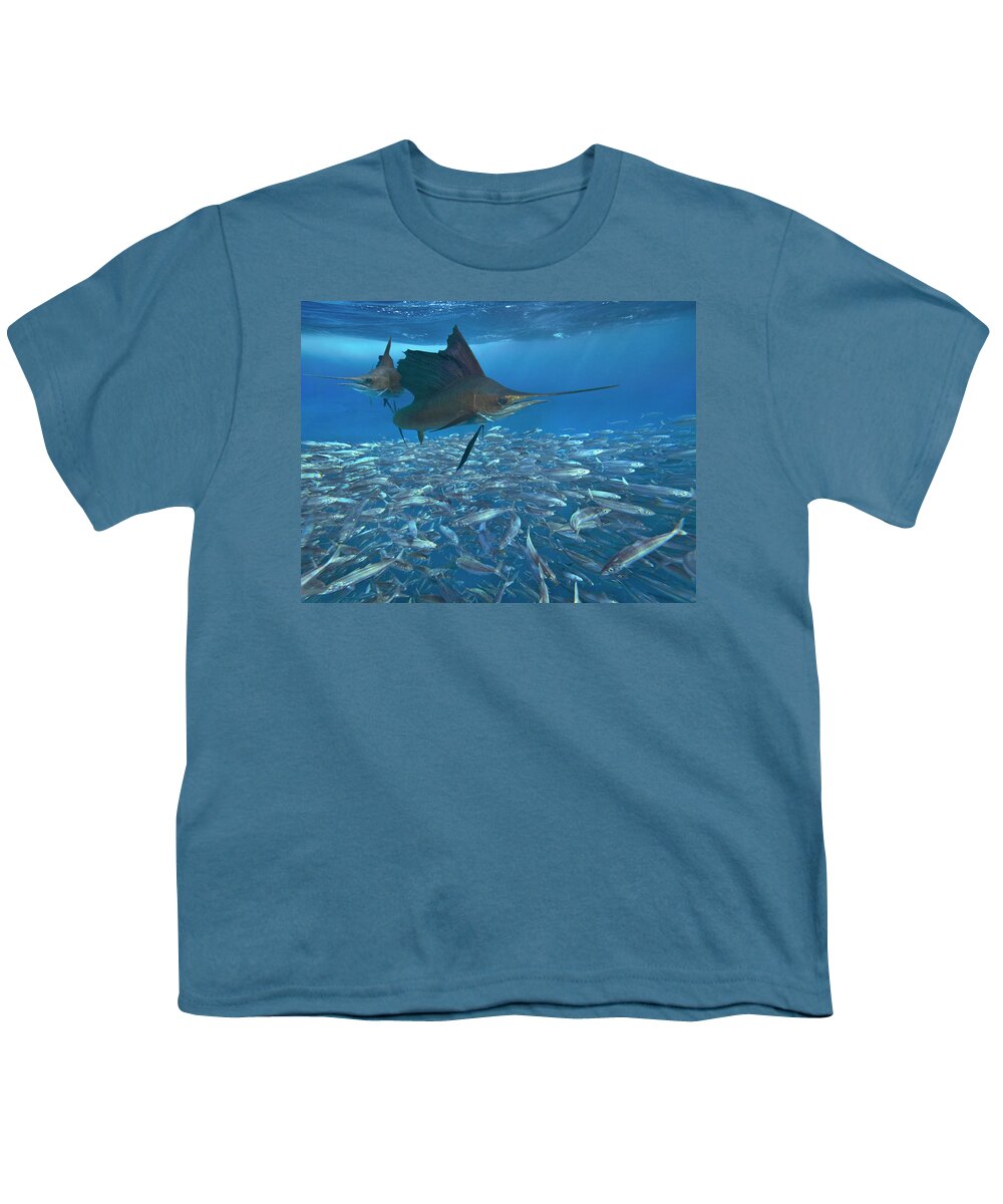 00558730 Youth T-Shirt featuring the photograph Sailfish Hunting Round Sardinella, Isla Mujeres, Mexico by Tim Fitzharris