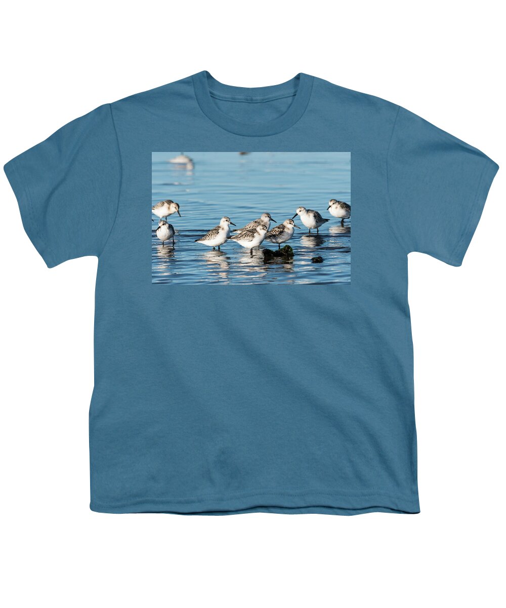 Birds Youth T-Shirt featuring the photograph Sanderlings by Robert Potts