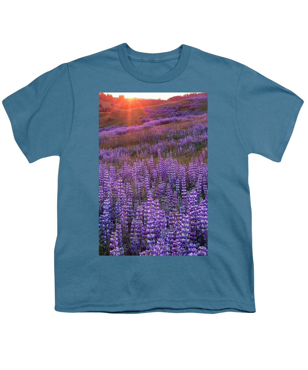 Jeff Foott Youth T-Shirt featuring the photograph Sunset Lupine In Redwood Natl Park by Jeff Foott