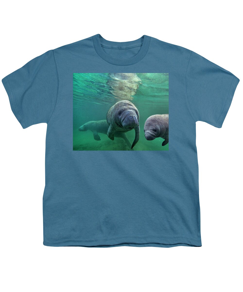 00544880 Youth T-Shirt featuring the photograph West Indiamanatee Trio, Crystal River, Florida by Tim Fitzharris