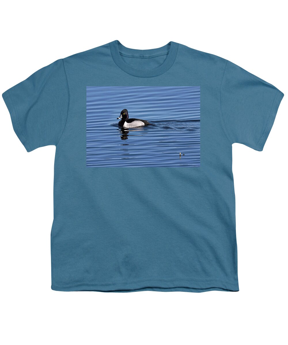 Duck Youth T-Shirt featuring the photograph Ring-necked Duck Profile #1 by Flinn Hackett