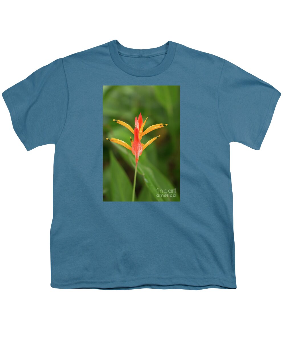 Hawaii Youth T-Shirt featuring the photograph A Single Parakeet Heliconia Blossom by Nancy Gleason