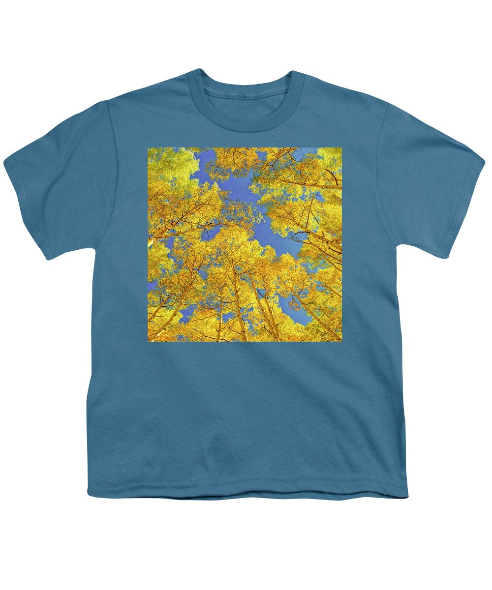  Aspen Colorado Youth T-Shirt featuring the photograph Blue Skies Above the Aspen Grove by OLena Art by Lena Owens - Vibrant DESIGN