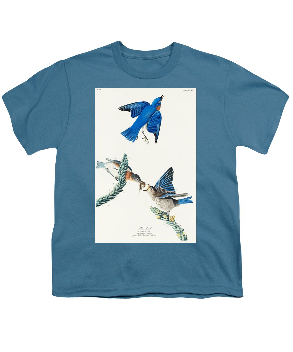 Bluebird Youth T-Shirt featuring the mixed media Bluebird. John James Audubon by World Art Collective