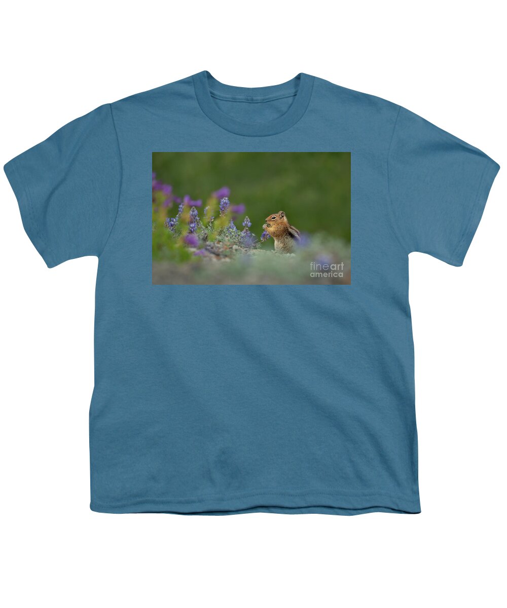 Callospermophilus Saturatus Youth T-Shirt featuring the photograph Cascade Golden-mantled Ground Squirrel eating Lupines by Nancy Gleason