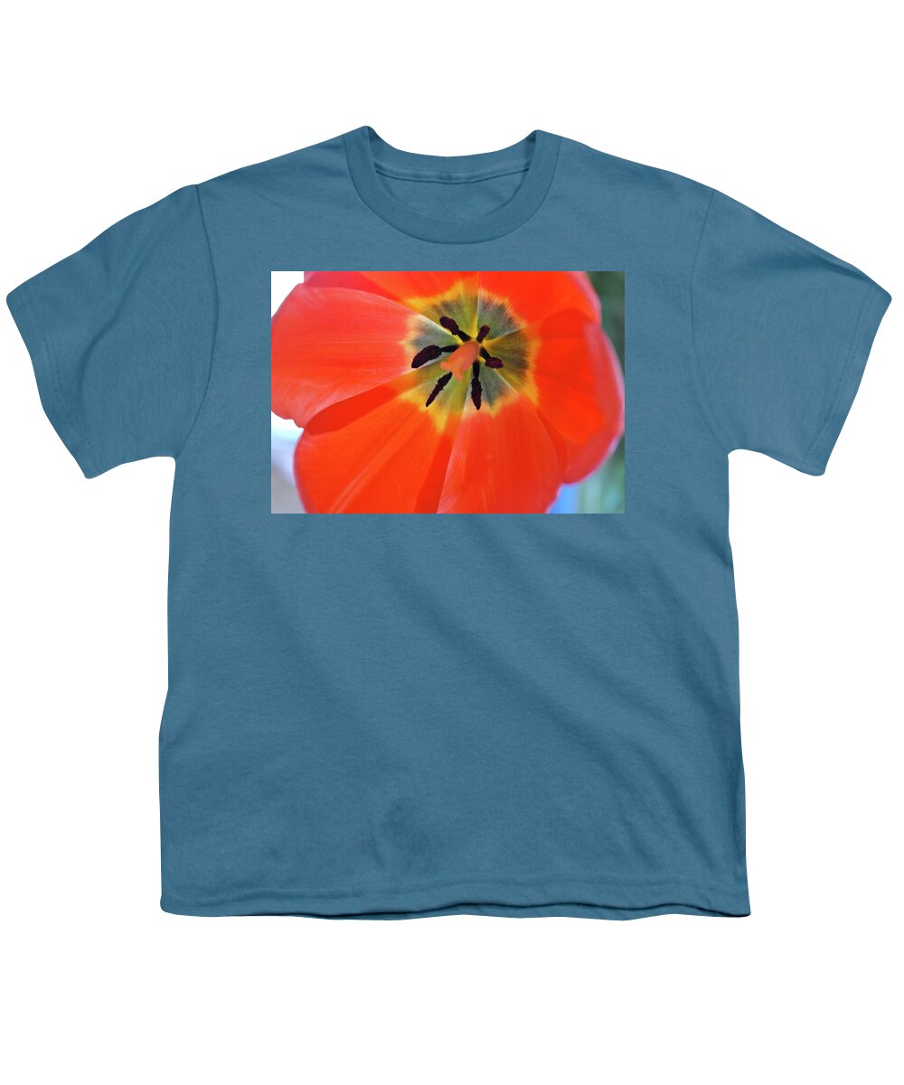 Tulip Youth T-Shirt featuring the photograph Dutch Umbrella by Michele Myers