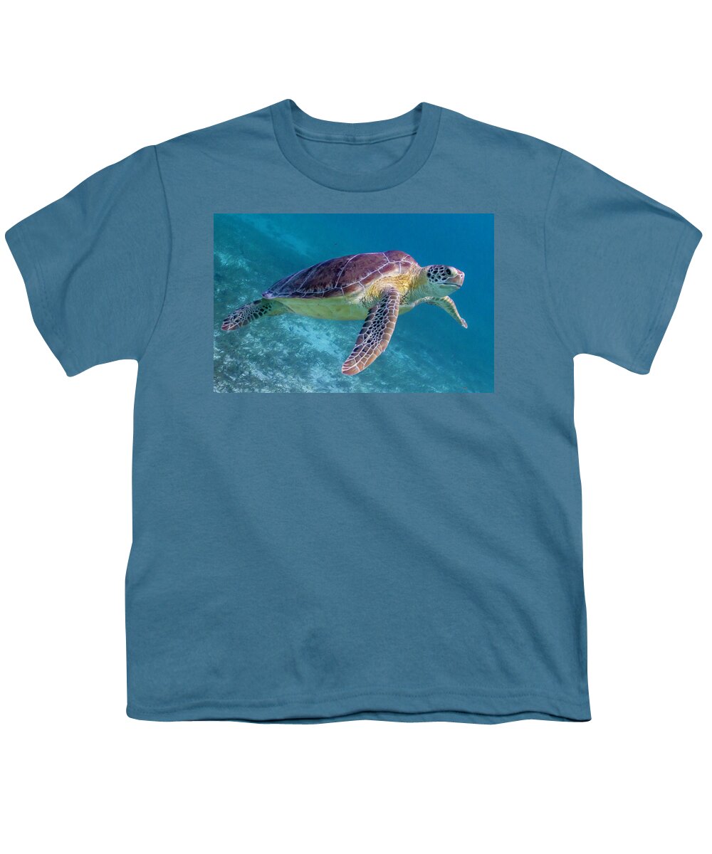 Animals Youth T-Shirt featuring the photograph Follow Me by Lynne Browne