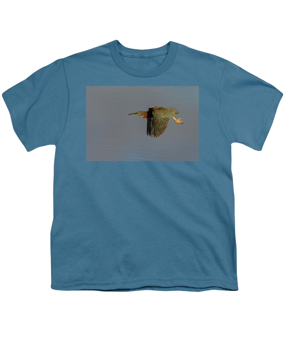 Green Heron Youth T-Shirt featuring the photograph Green Heron Flight by RD Allen