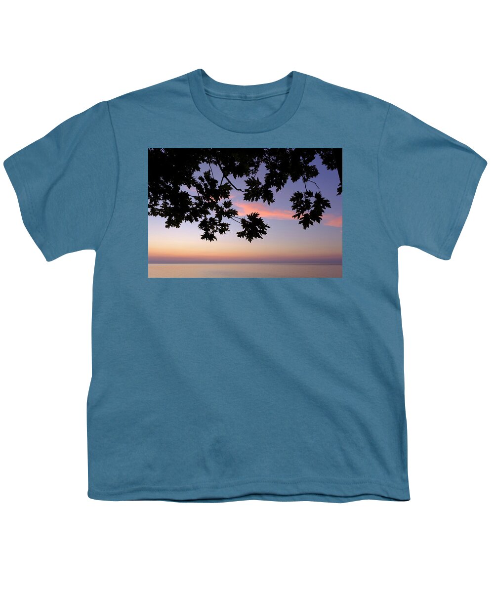 Lake Michigan Youth T-Shirt featuring the photograph Last of the Leaves at Lake Michigan by Mary Lee Dereske