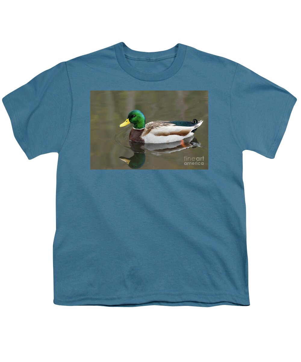 Anas Platyrhynchos Youth T-Shirt featuring the photograph Male Mallard Duck in a Pond in Seattle by Nancy Gleason