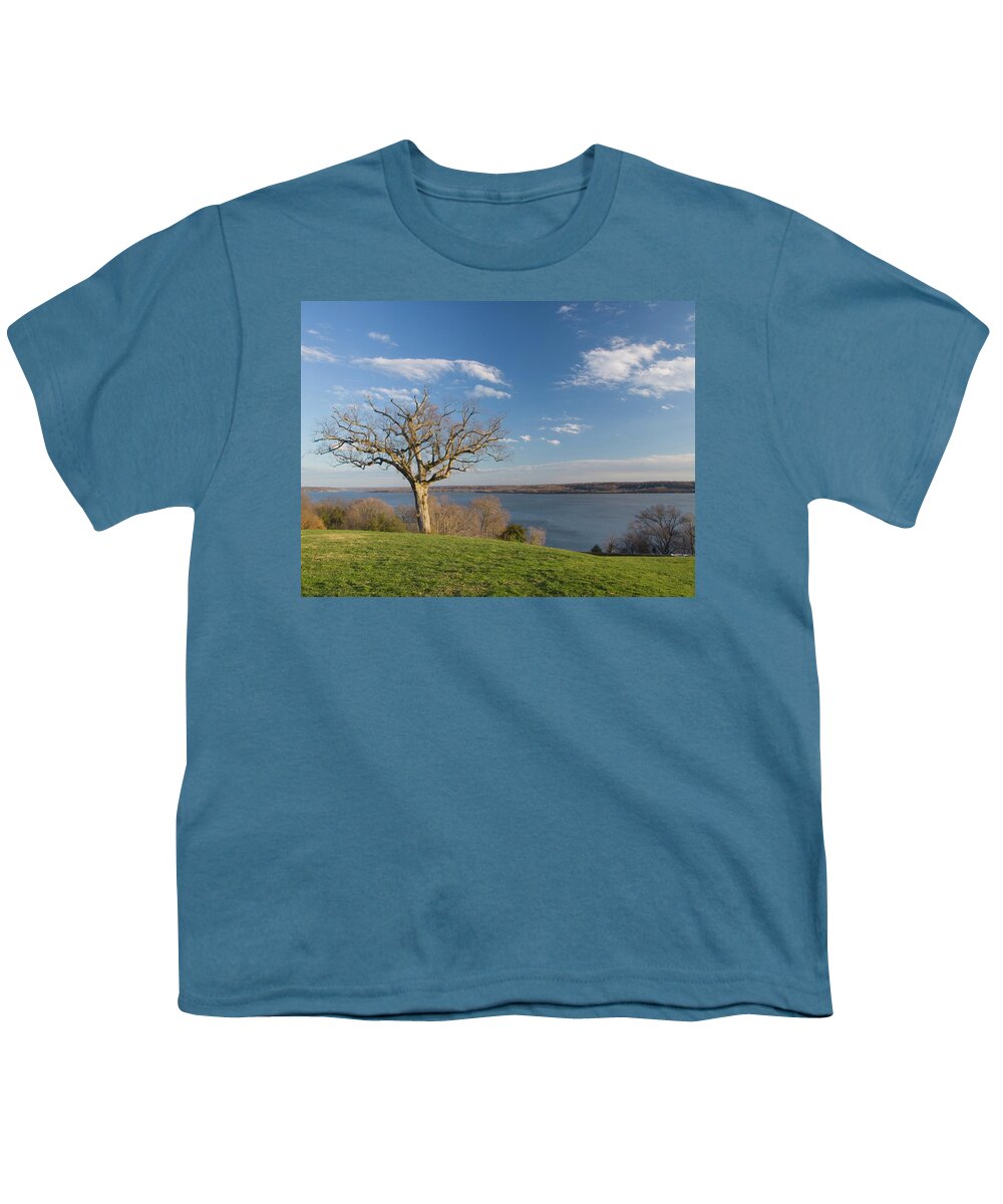 Virginia Youth T-Shirt featuring the photograph Mount Veron Tree by Tara Krauss