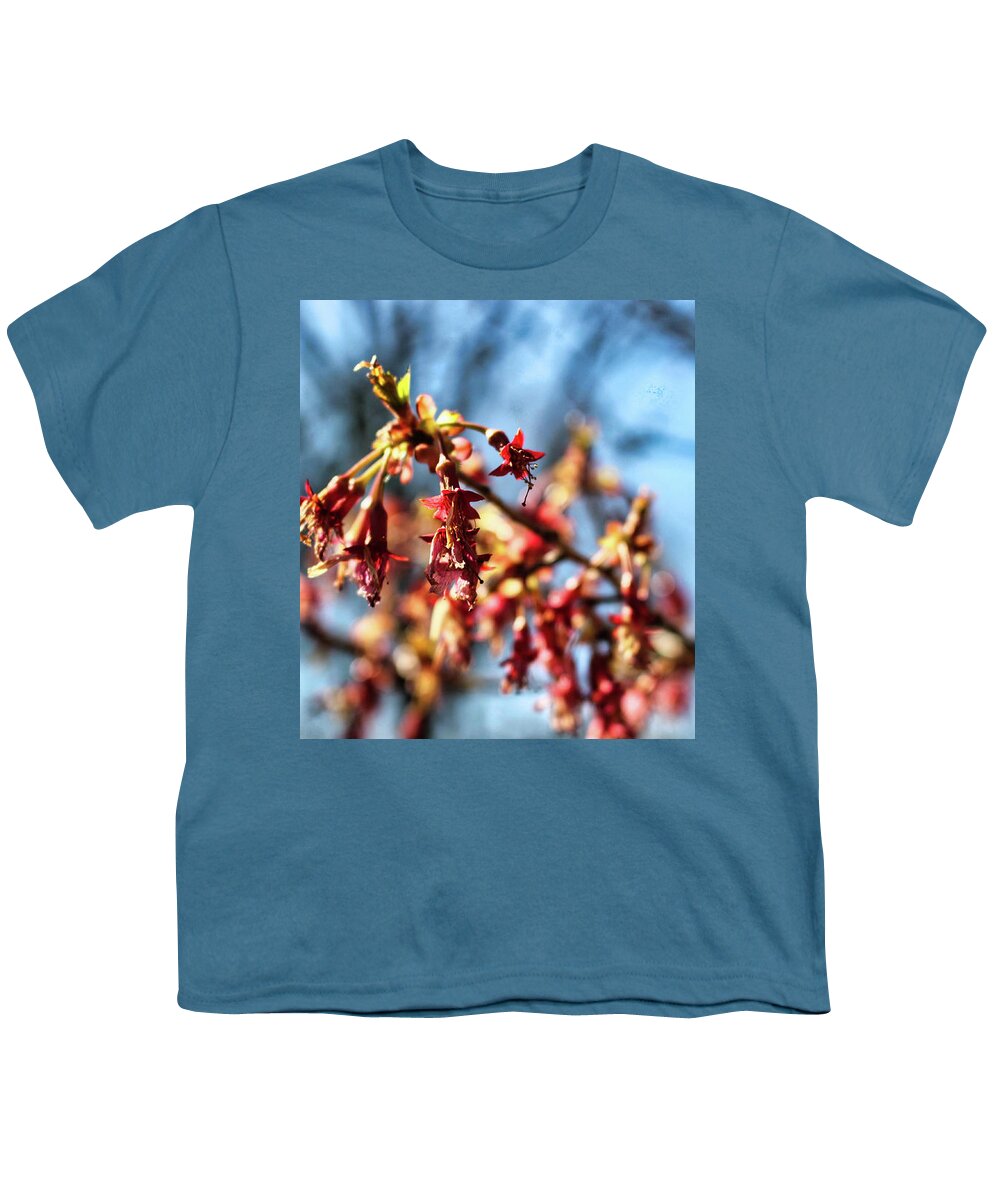 Newark Youth T-Shirt featuring the photograph Newark Cherry Blossom Series - 1 by Christopher Lotito