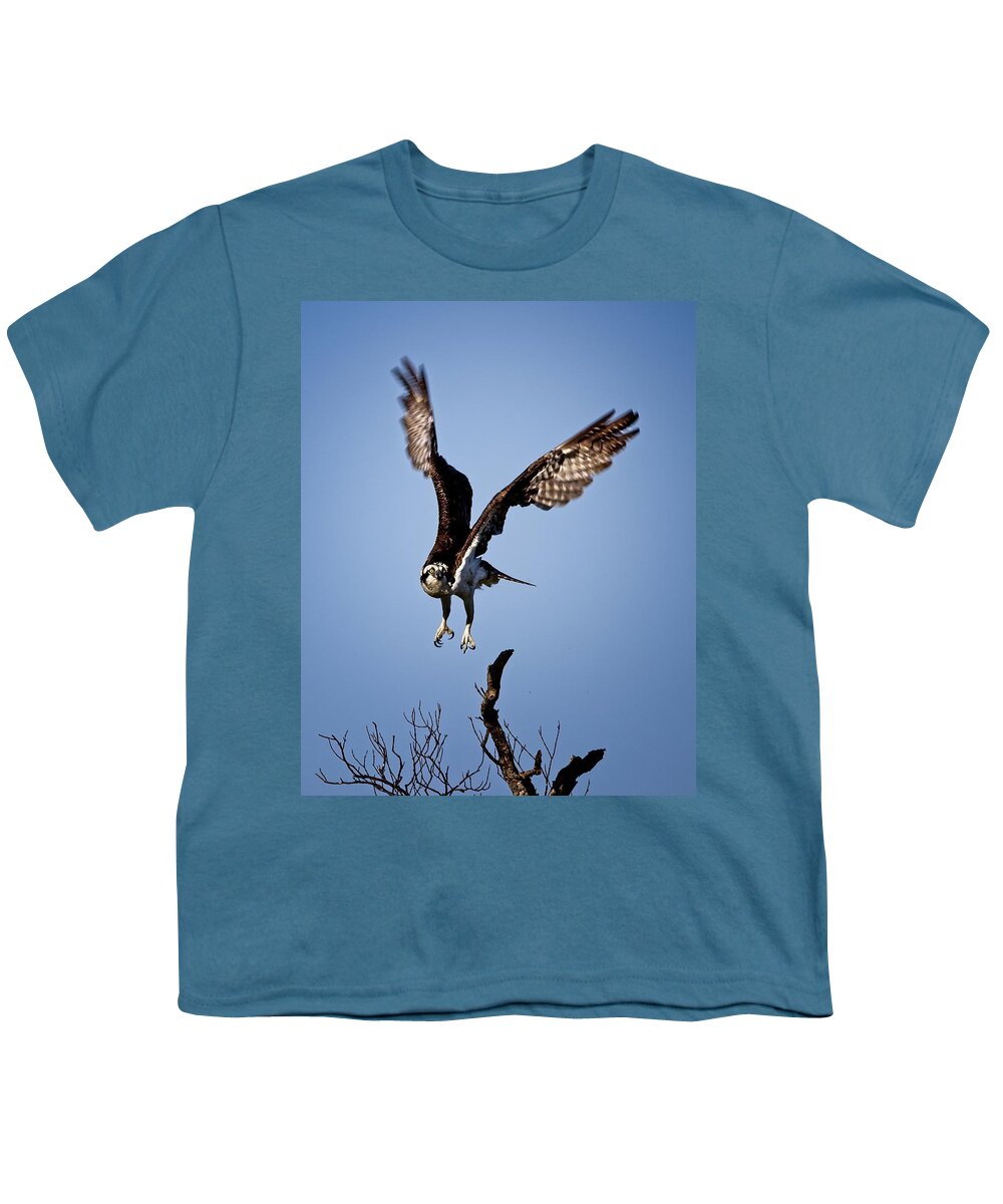 Osprey Youth T-Shirt featuring the photograph Osprey headed to Nest by Ronald Lutz