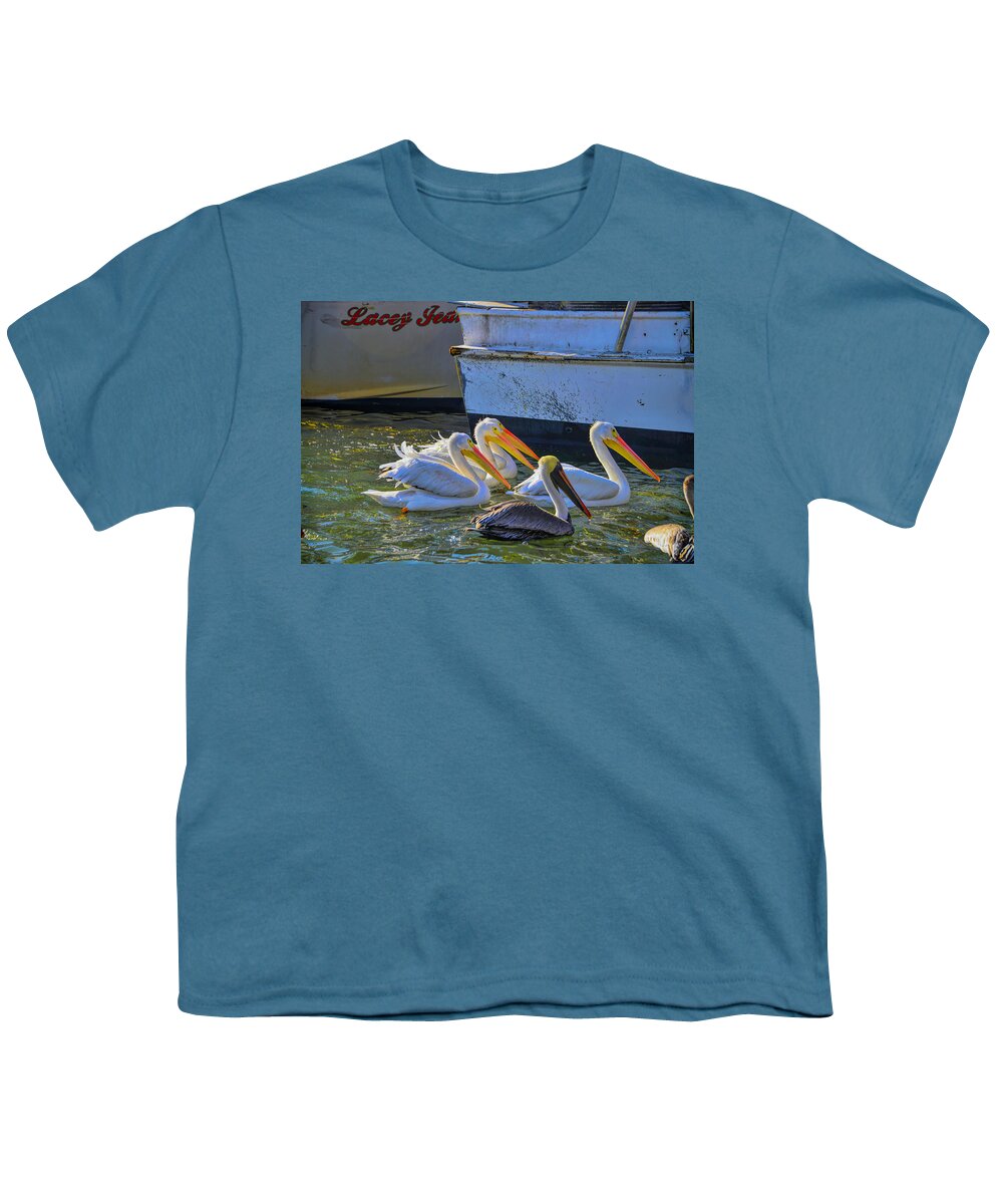 White Pelicans Youth T-Shirt featuring the photograph Out Shopping by Alison Belsan Horton