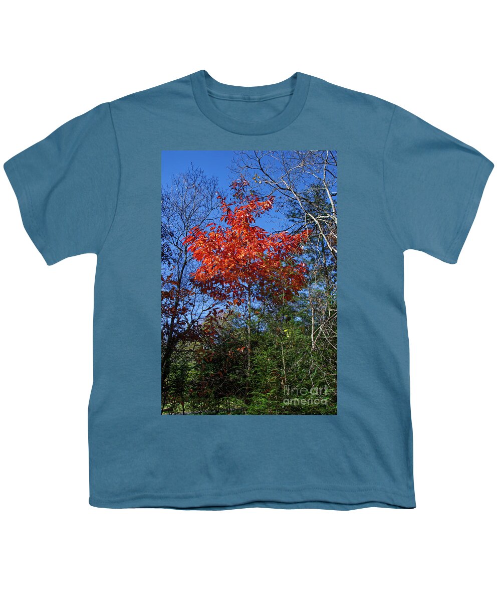 Autumn Youth T-Shirt featuring the photograph Return to Autumn by Phil Perkins