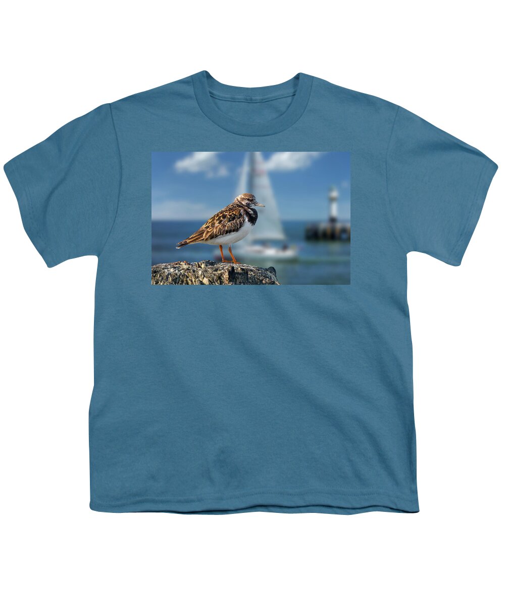 Ruddy Turnstone Youth T-Shirt featuring the photograph Ruddy Turnstone in Harbour by Arterra Picture Library