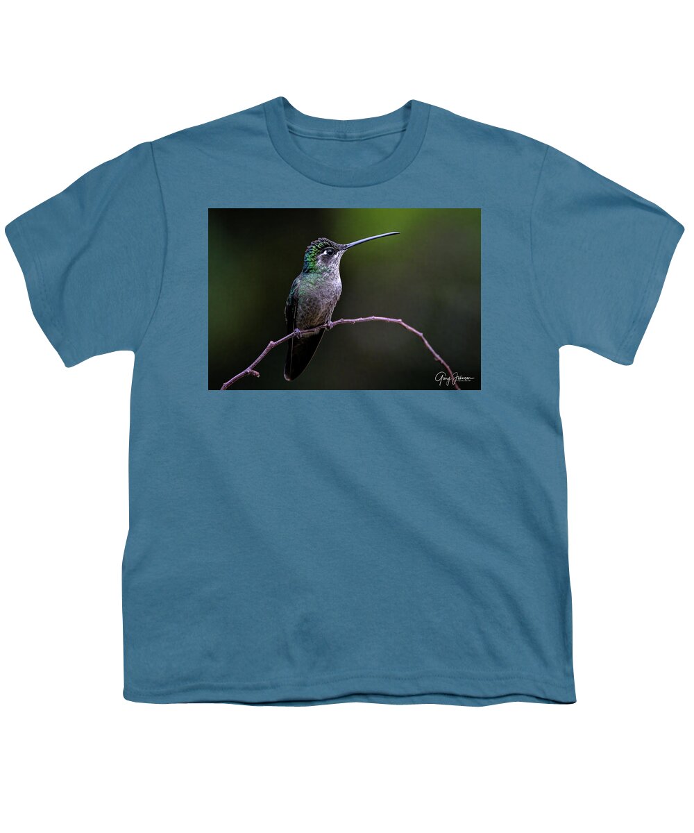 Gary Johnson Youth T-Shirt featuring the photograph Talamanca Hummingbird by Gary Johnson