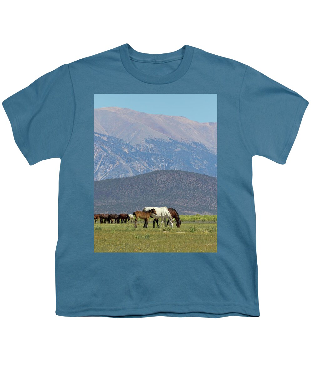 Eastern Sierra Youth T-Shirt featuring the photograph Tranquility in the Meadow II by Cheryl Strahl