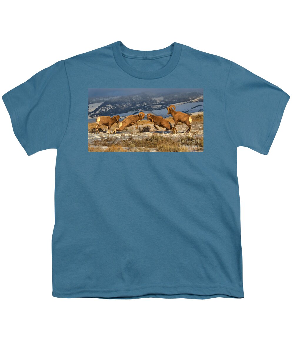 Bighorn Youth T-Shirt featuring the photograph Wyoming Bighorn Brawlers Panorama by Adam Jewell