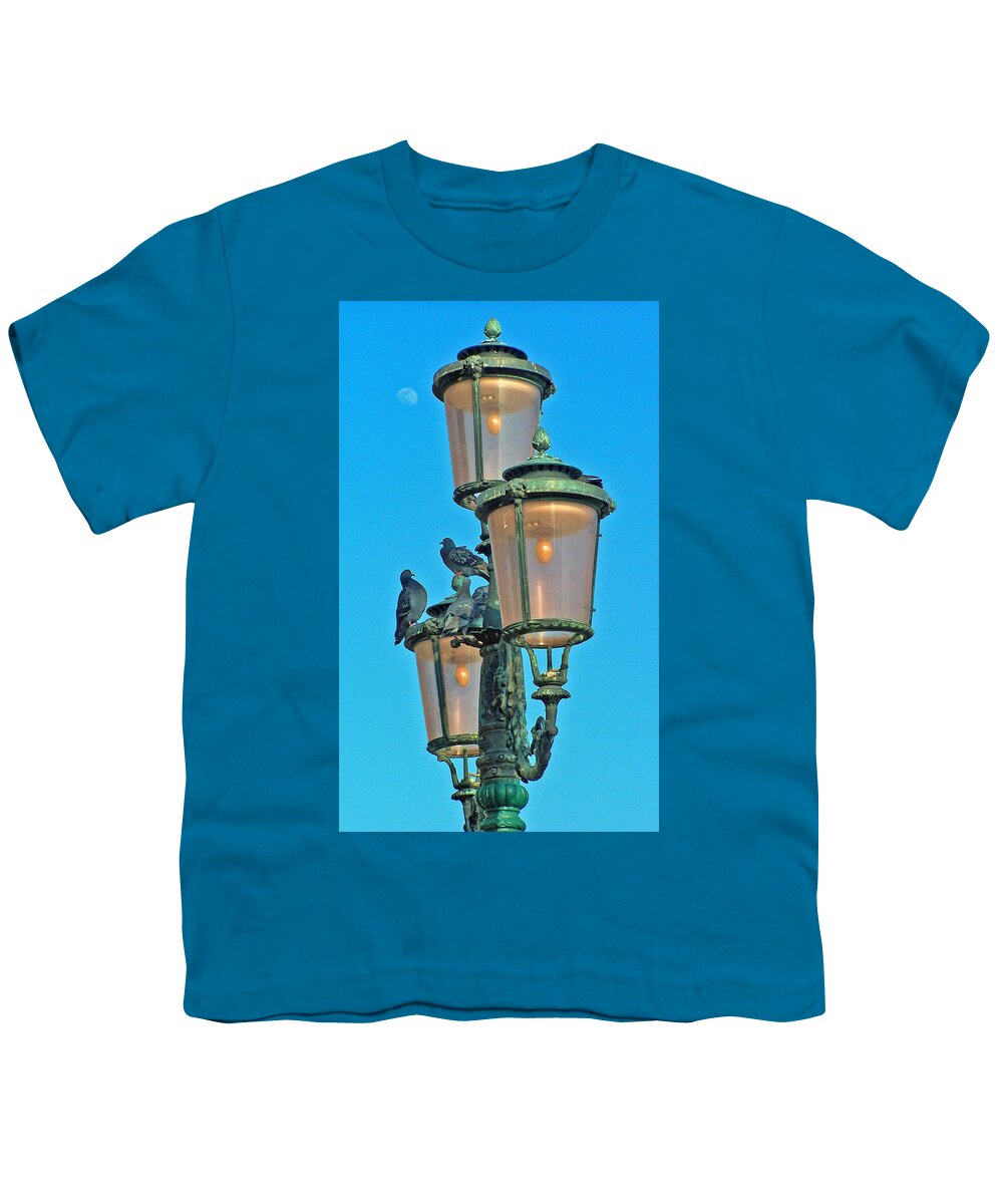 Birds Youth T-Shirt featuring the photograph Lamp Post by Jennifer Robin