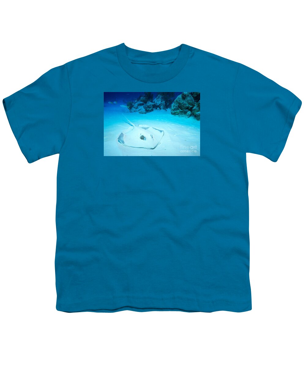 Southern Stingray Youth T-Shirt featuring the photograph Bottom Dweller by Aaron Whittemore