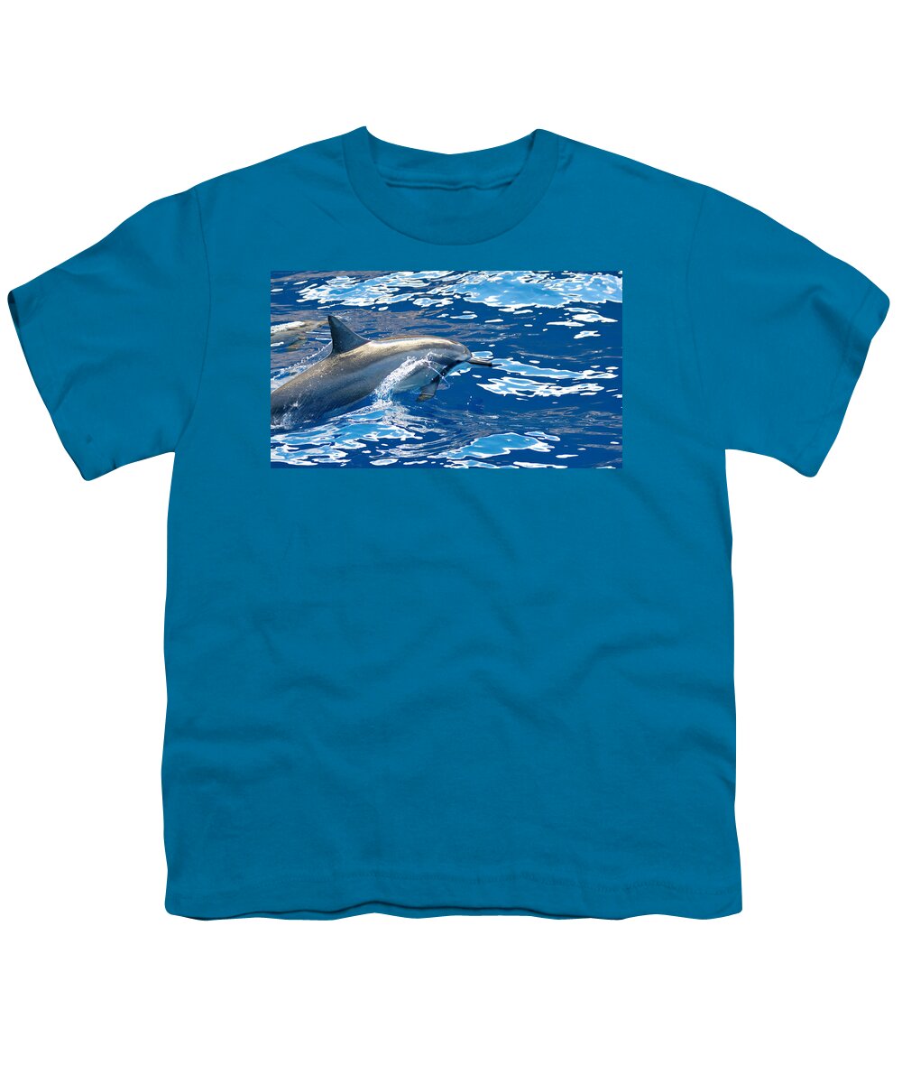 Spinner Dolphin Youth T-Shirt featuring the photograph Race You by Susan Rissi Tregoning