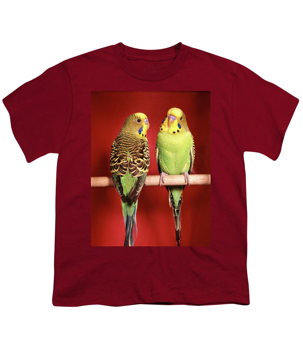 Photography Youth T-Shirt featuring the photograph 1960s Pair Of Two Yellow Green by Vintage Images