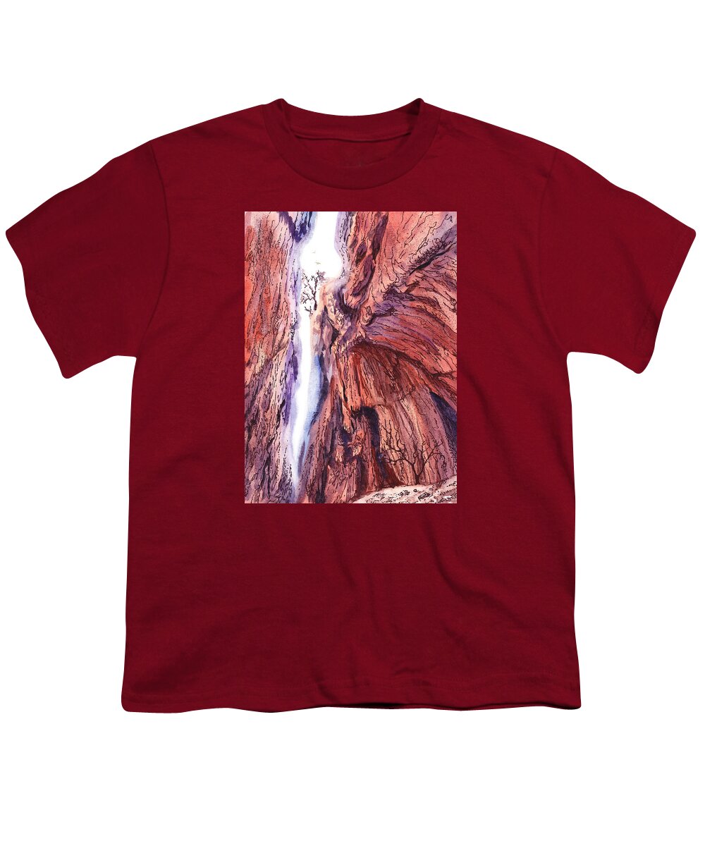 Colorado Youth T-Shirt featuring the painting Colorado Mountains Garden of the Gods Canyon by Irina Sztukowski