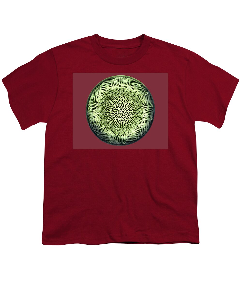 Algae Youth T-Shirt featuring the photograph Diatom by Dee Breger