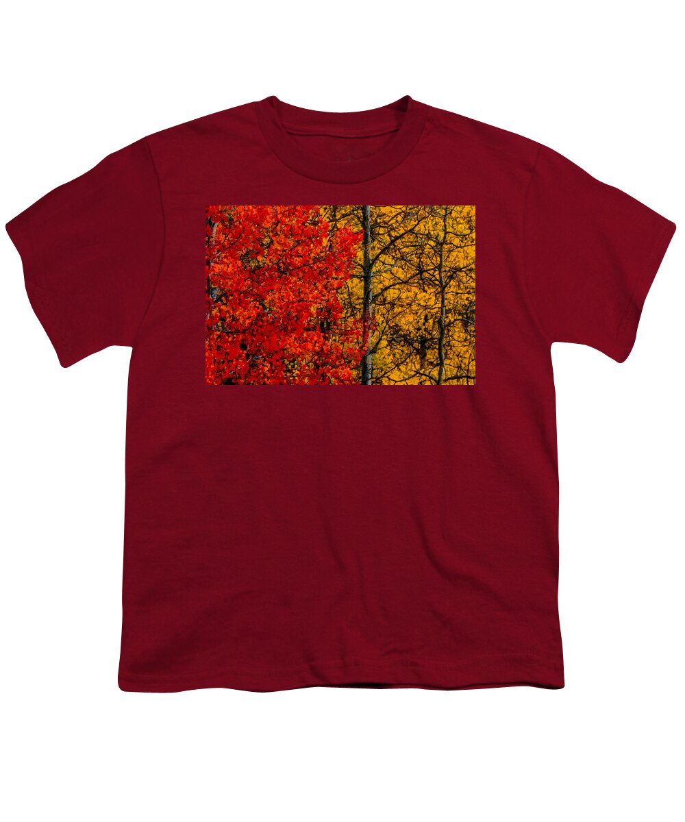 Autumn Youth T-Shirt featuring the digital art Fall Colors DP by Ernest Echols